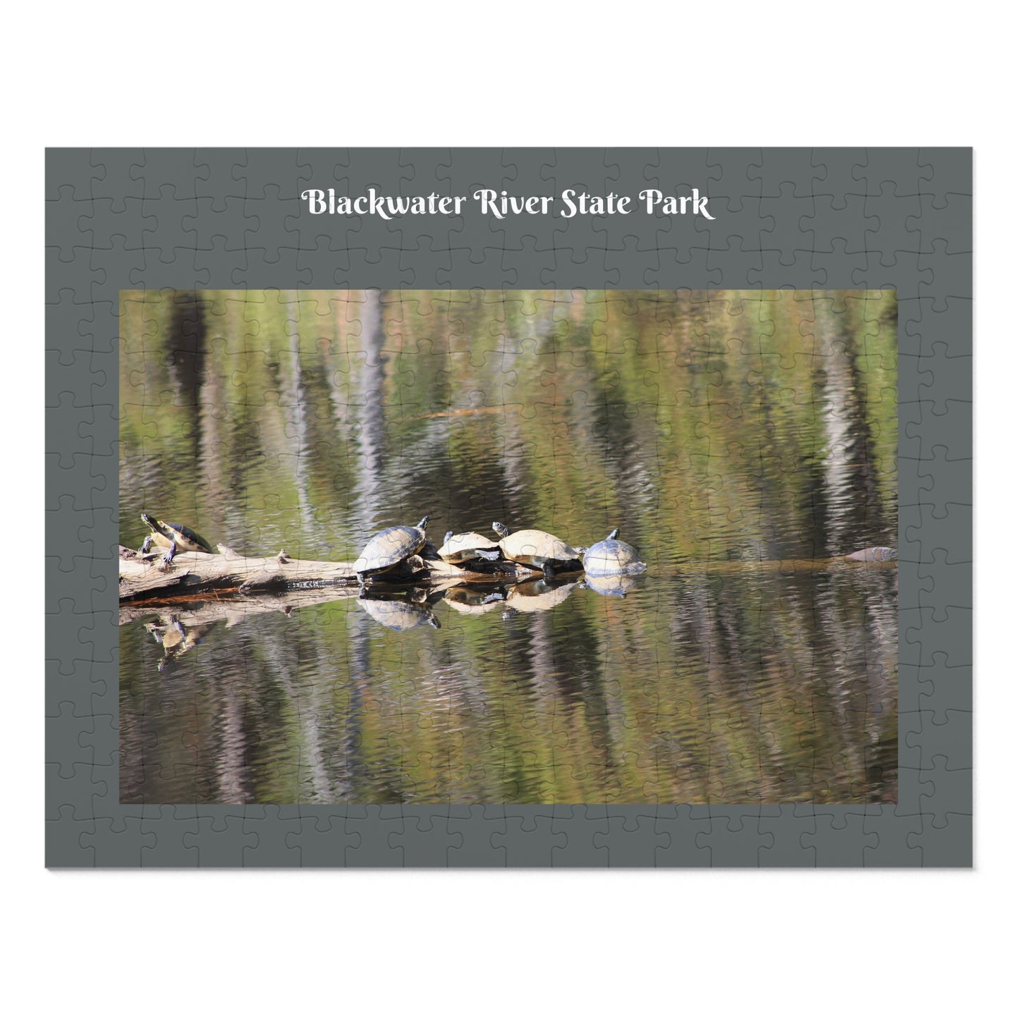 Blackwater River State Park Jigsaw Gray Puzzle