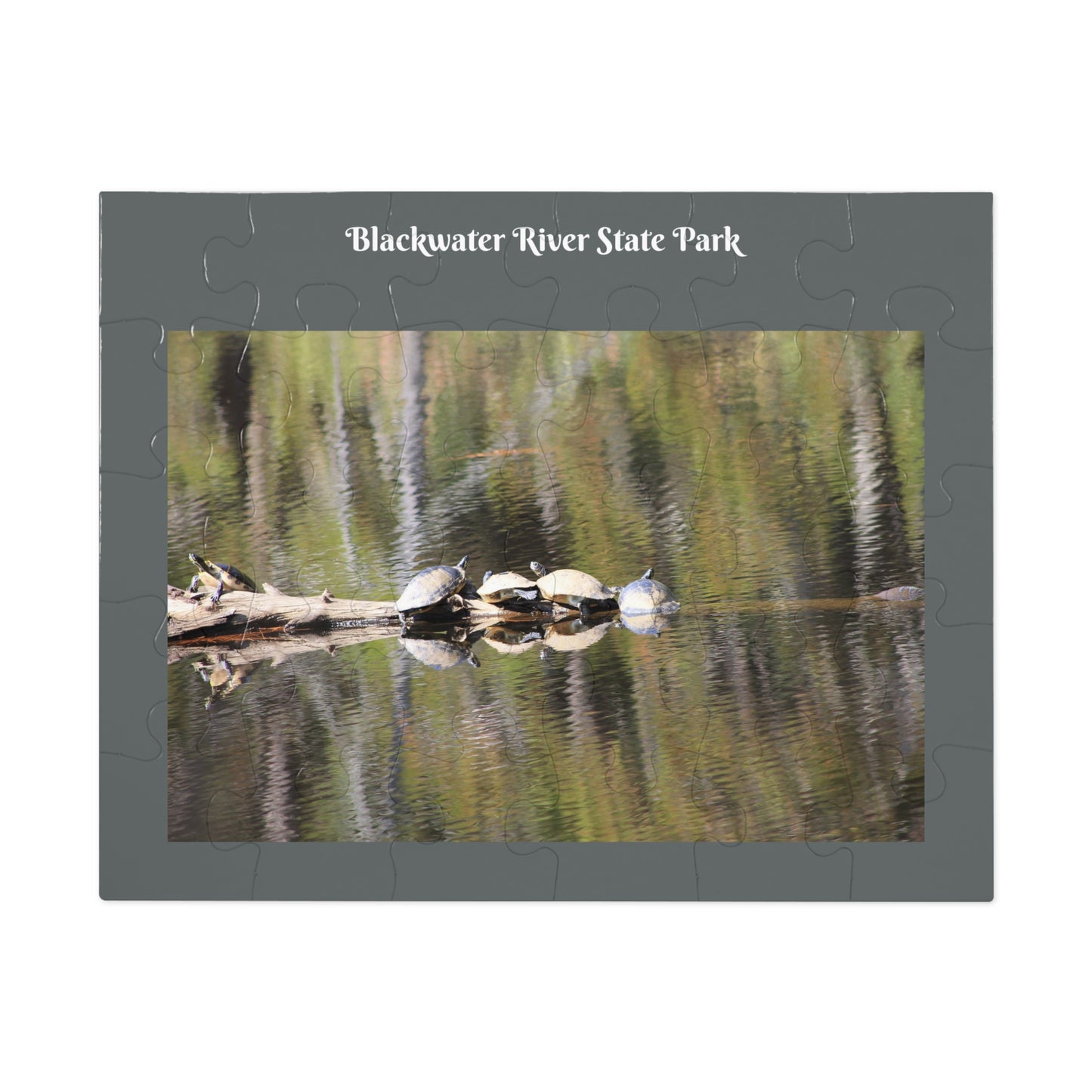 Blackwater River State Park Jigsaw Gray Puzzle