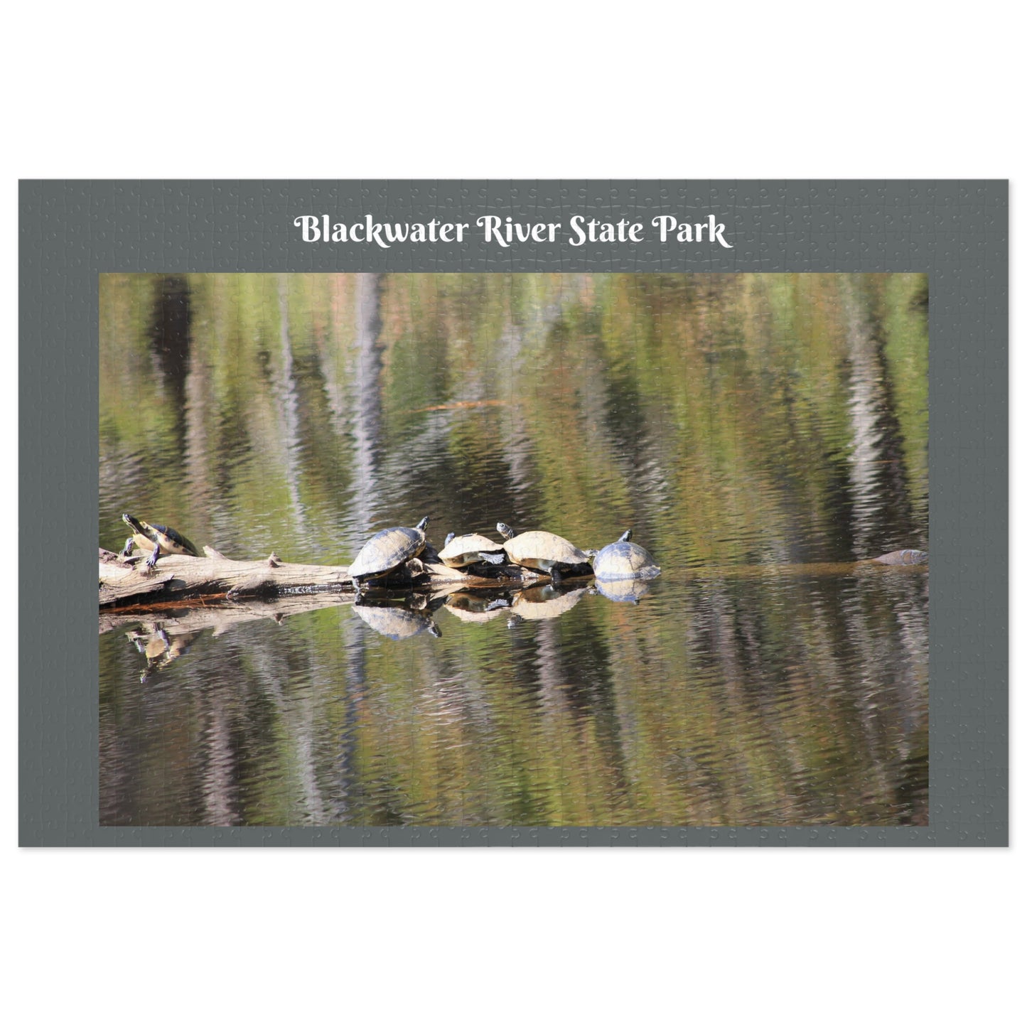 Blackwater River State Park Jigsaw Gray Puzzle