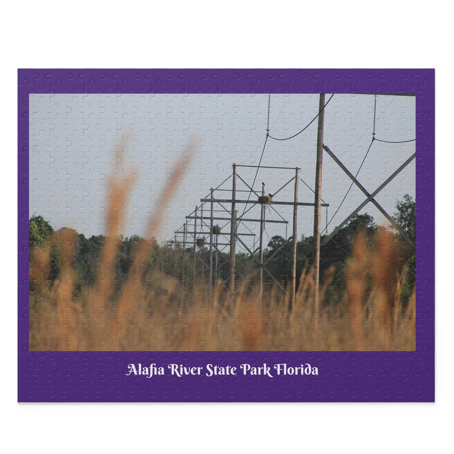 Alafia River State Park Purple Puzzle (120, 252, 500-Piece)