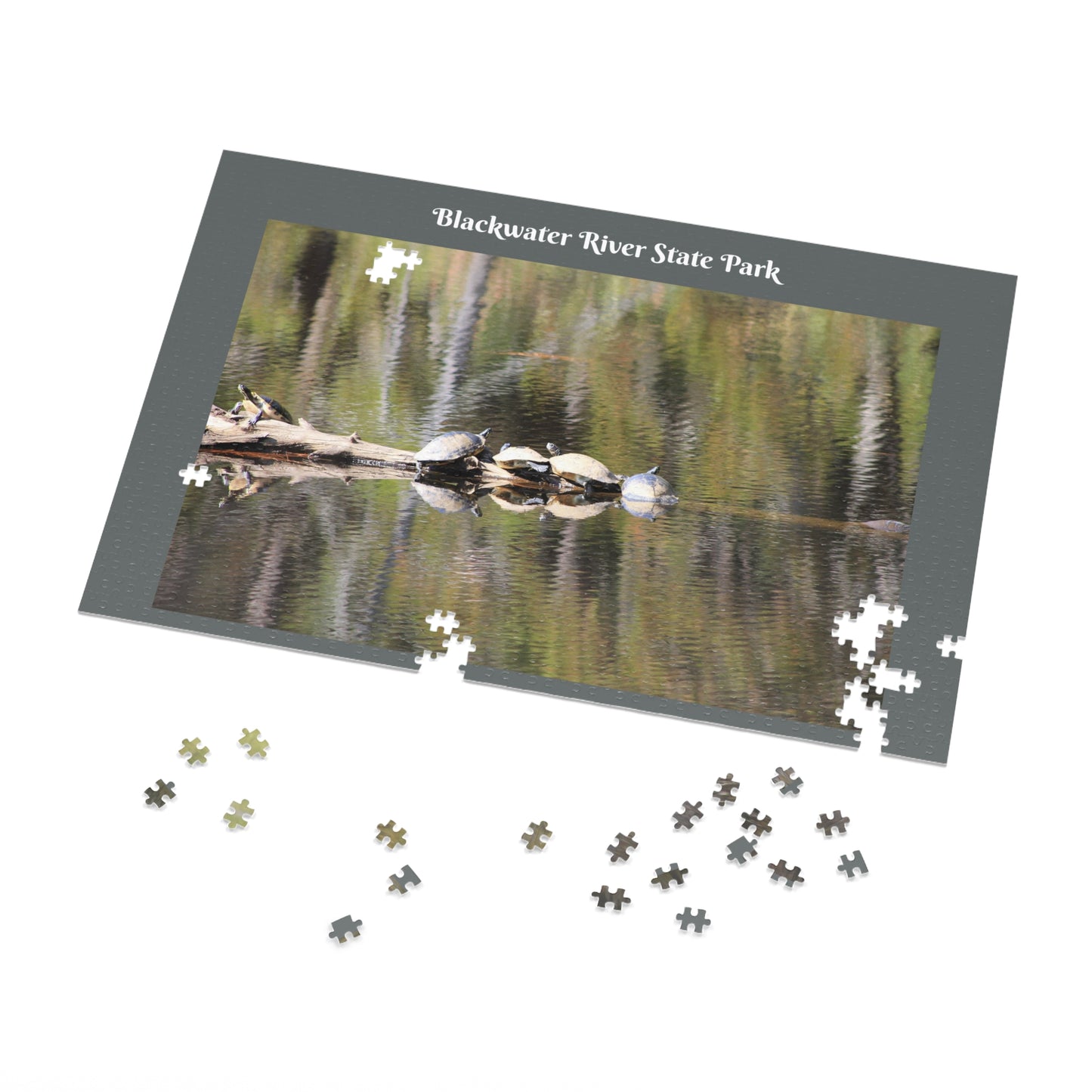 Blackwater River State Park Jigsaw Gray Puzzle