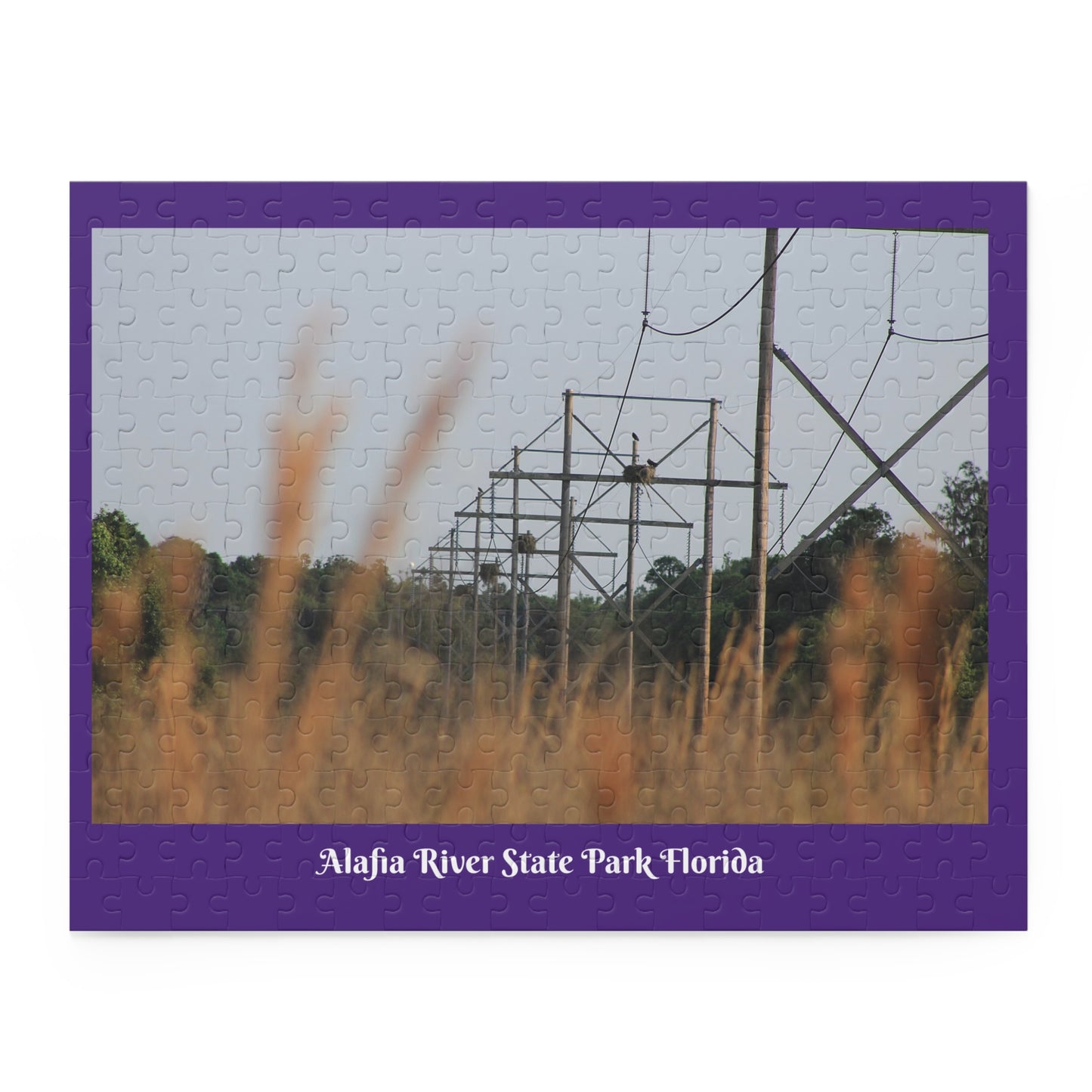 Alafia River State Park Purple Puzzle (120, 252, 500-Piece)