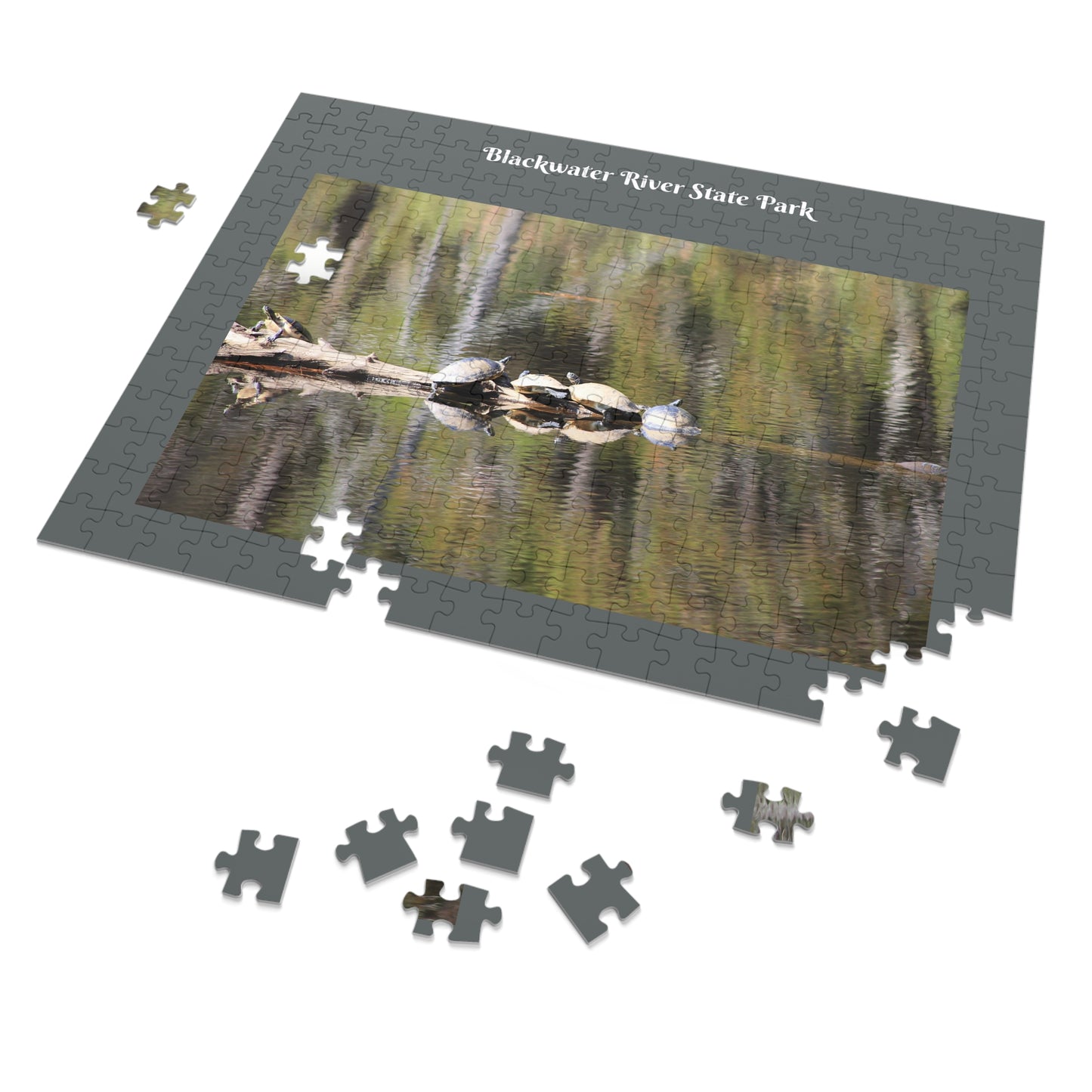 Blackwater River State Park Jigsaw Gray Puzzle