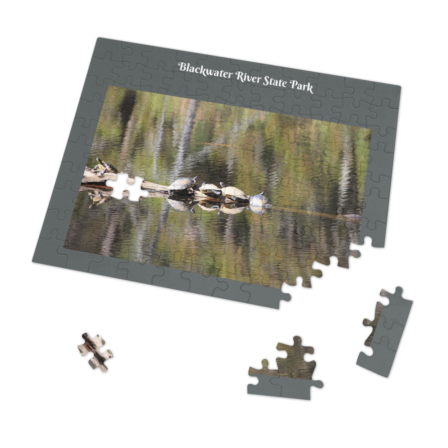 Blackwater River State Park Jigsaw Gray Puzzle