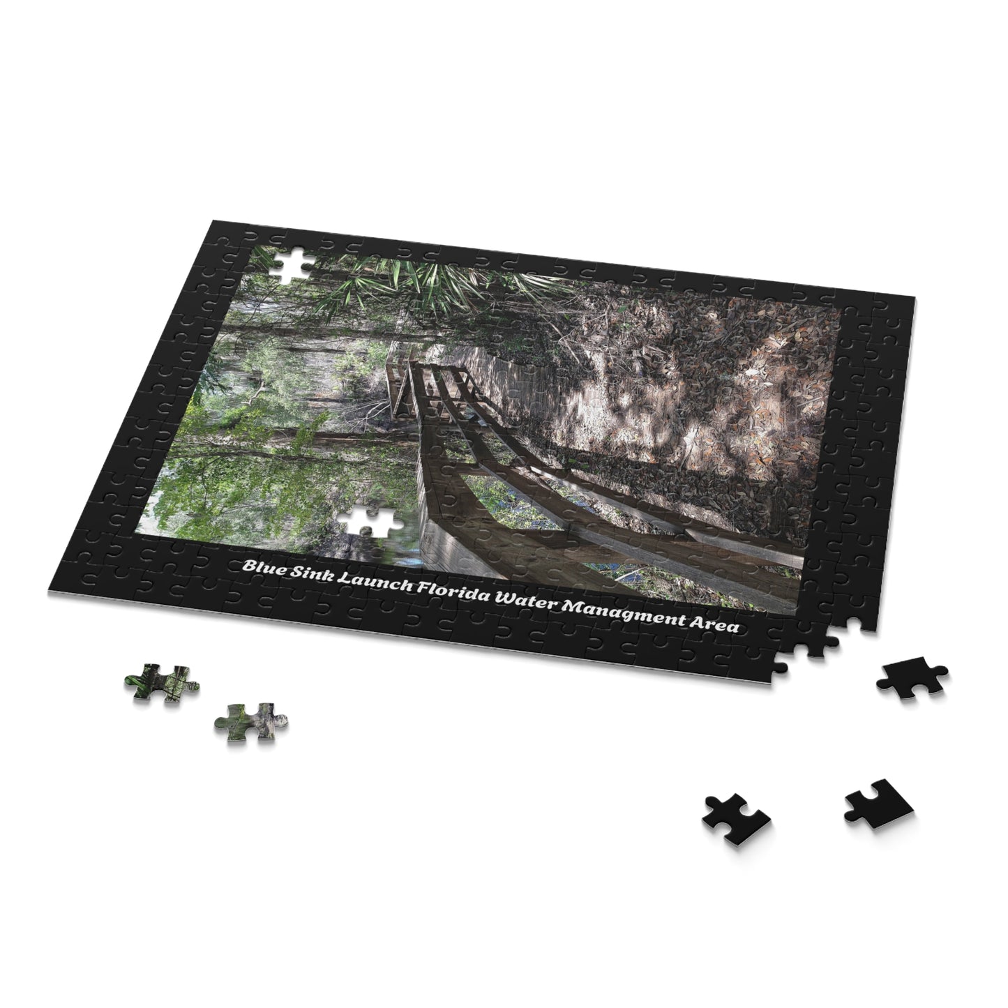 Blue Sink Launch Water Management District Puzzle (120, 252, 500-Piece)