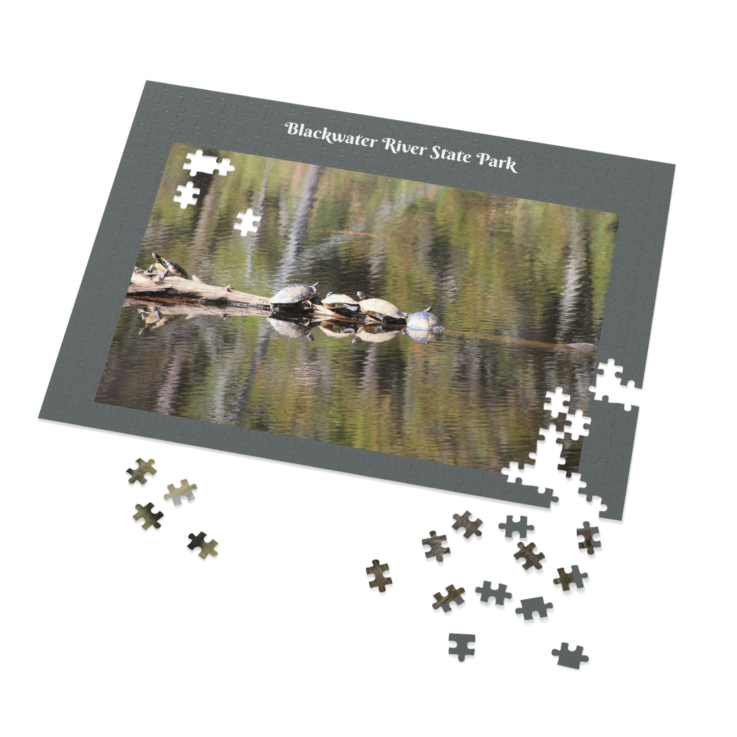 Blackwater River State Park Jigsaw Gray Puzzle