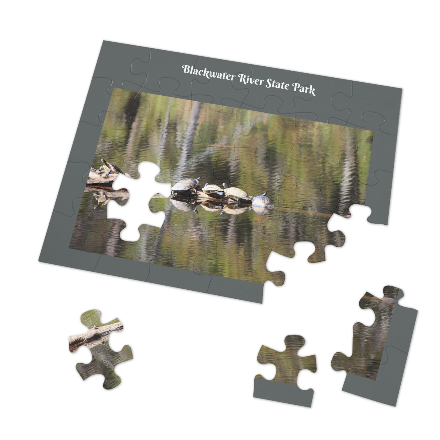 Blackwater River State Park Jigsaw Gray Puzzle