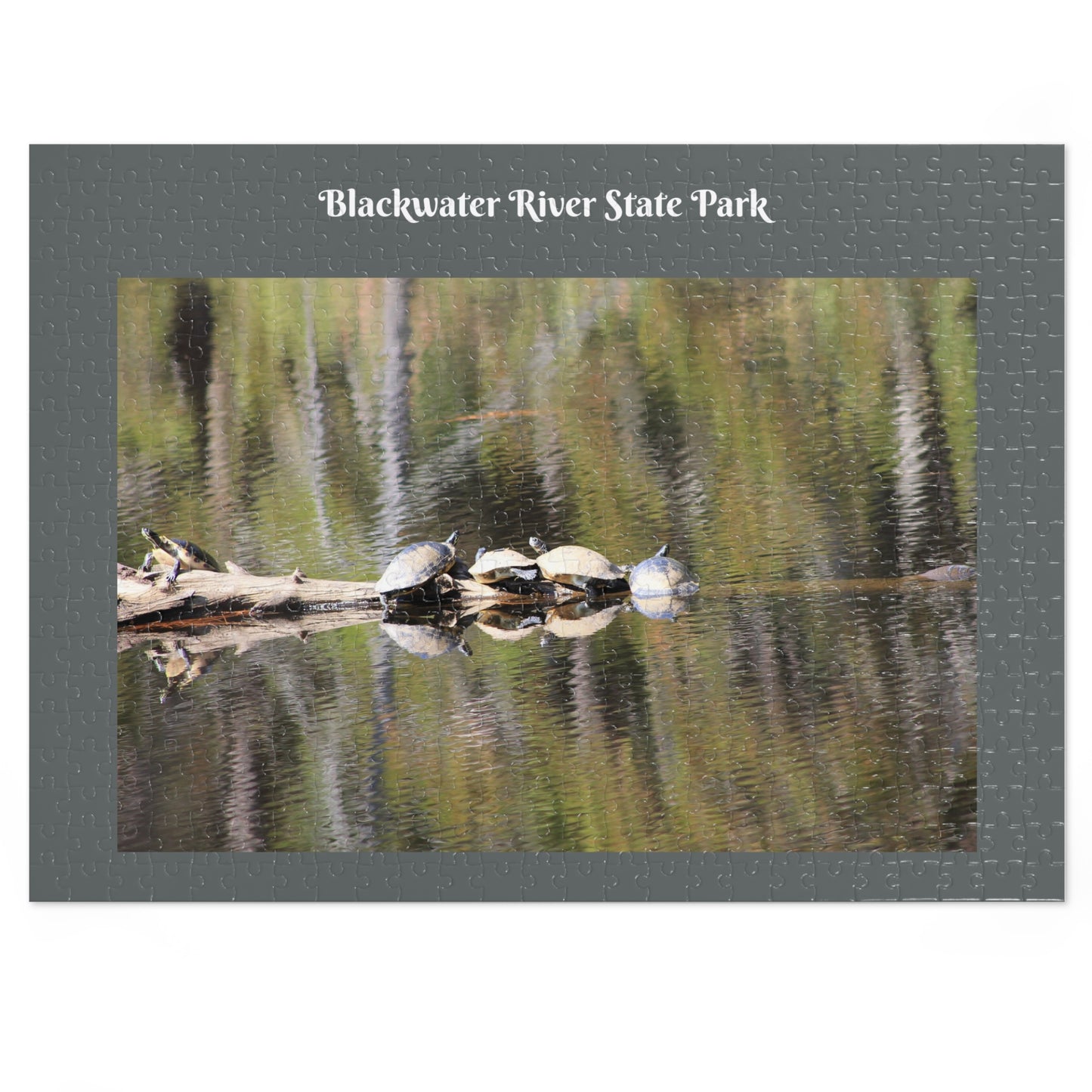 Blackwater River State Park Jigsaw Gray Puzzle